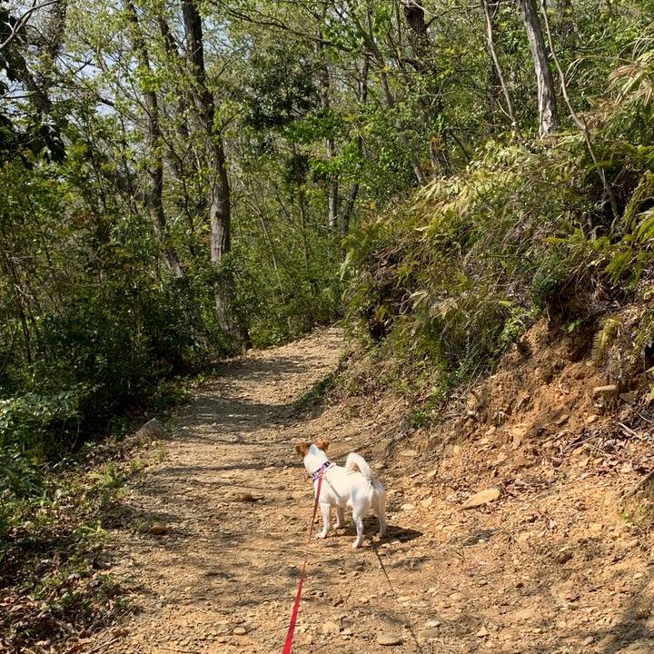 Cfc02d2f ae0c 4b13 8a99 b42f2cf95d73 1585981923322