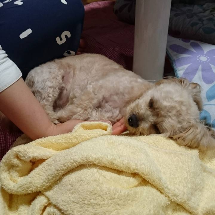 Cfc06030 c80a 4a43 b652 97f62c3441f4 1531571325169