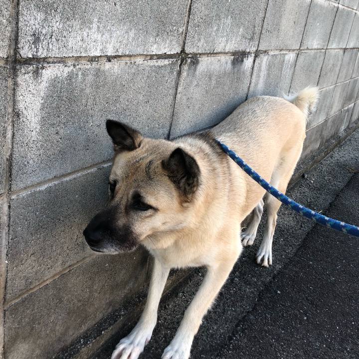 Cfc06d9e 17bd 4a16 b0c4 18dcf5e31c23 1570712021335