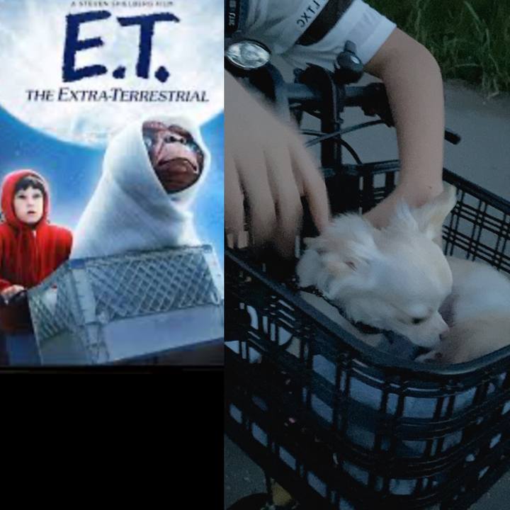 Cfc07148 da5c 42d9 bcc2 8f8a510197f6 1599915939418