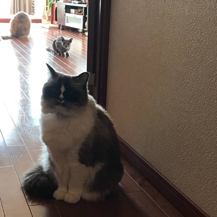 Cfc075cb 2296 47b7 abf9 14d76ad88c31 1512484787743