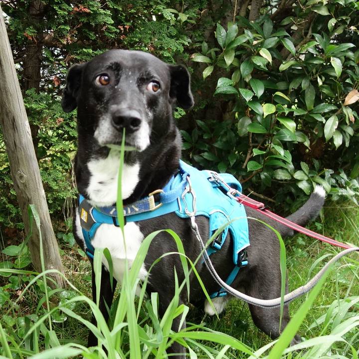 Cfc0905a f92d 48c9 ade9 bdd97d5794d3 1721004093396