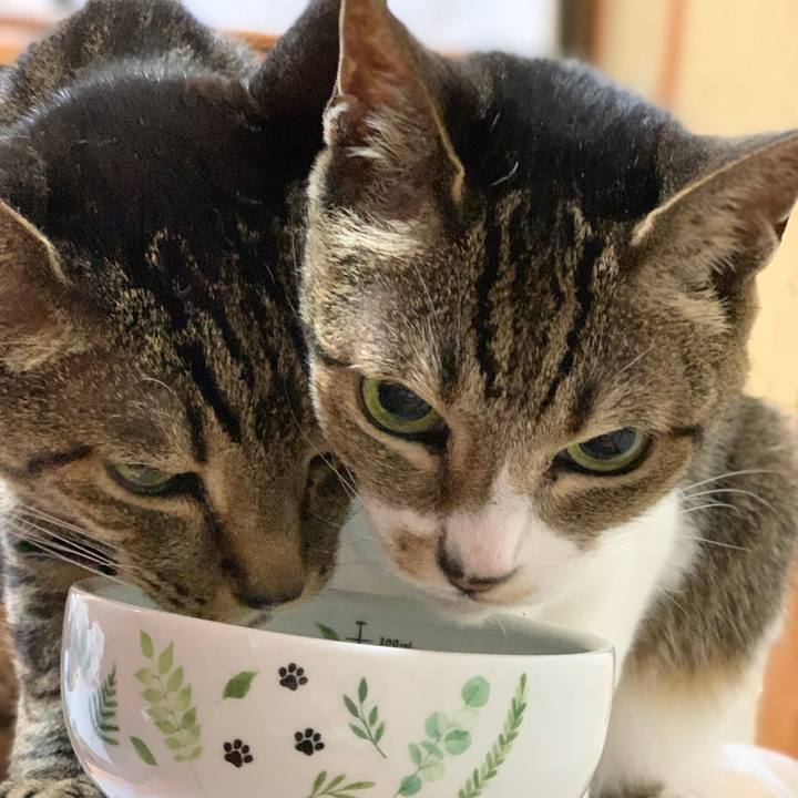 Cfc09673 5d0e 4688 8448 226d607bdd4c 1592526563996