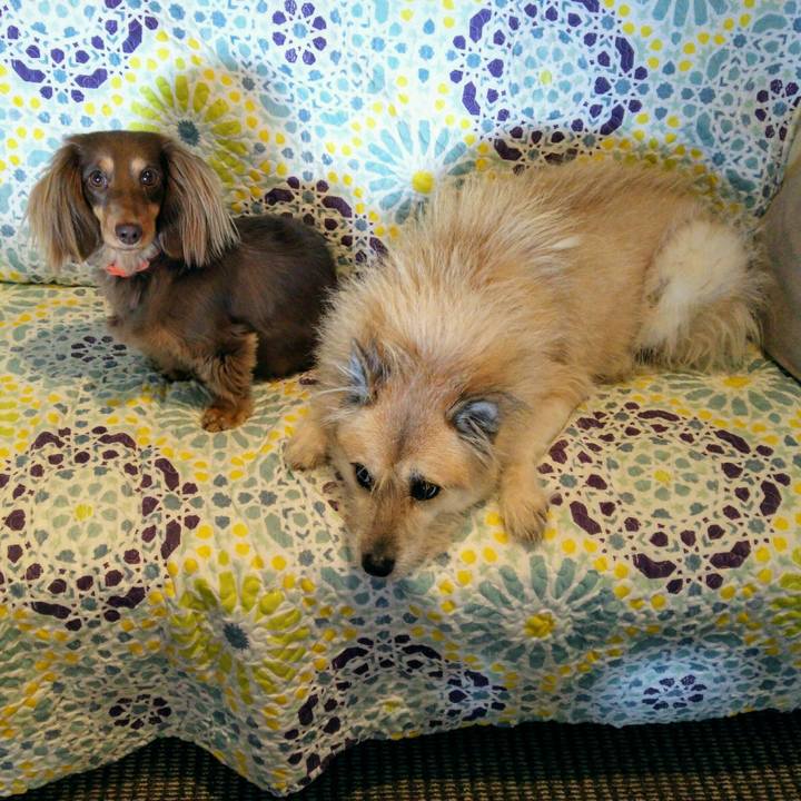 Cfc0a691 65cc 46e8 b829 a5f219862c26 1515034391782