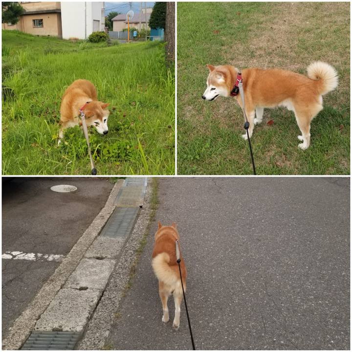 Cfc12cfb 7936 4566 ac0d d822877a1a9c 1755509927252