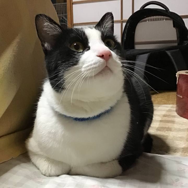 Cfc136ad 1928 4fff b32c e97bfc94f8aa 1703582420029