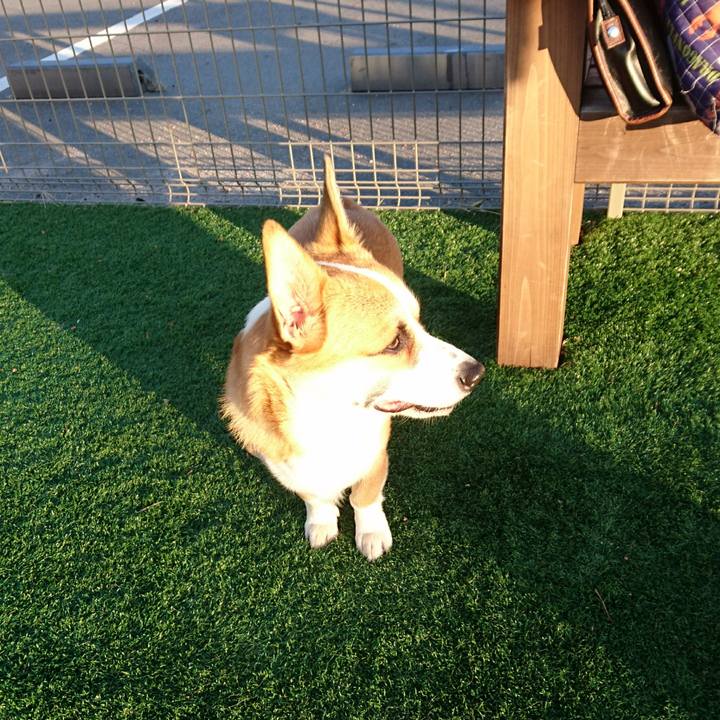 Cfc17bb2 bcea 4abf 87d3 1b1c1d514fab 1572942252985