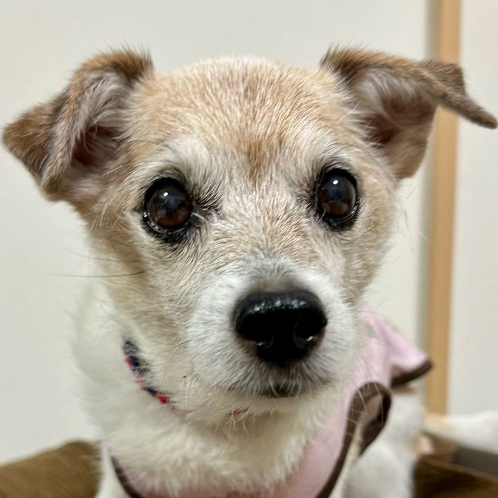 Cfc18707 f4a9 42ac b674 18ce44a4ec11 1767169916656