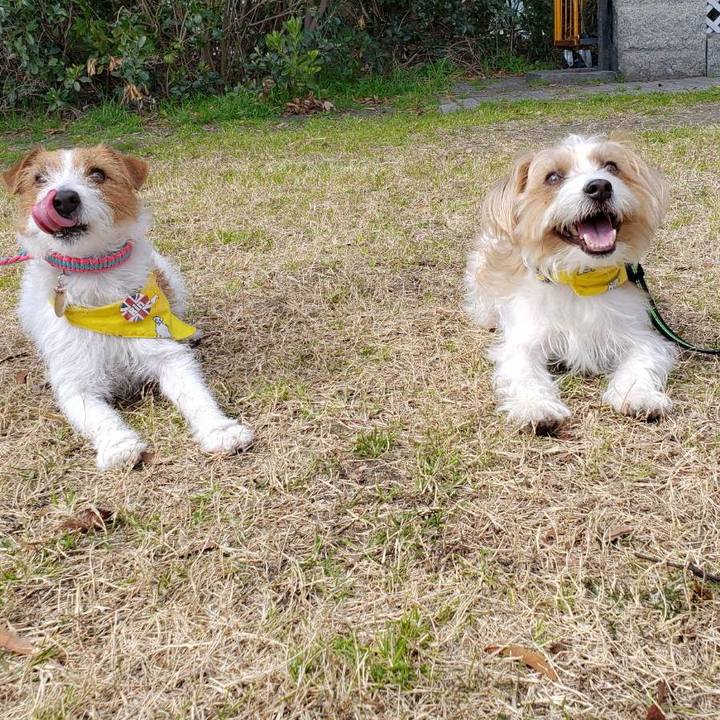 Cfc19b68 214c 44a7 aa43 ef33cbbf1b23 1582427876601