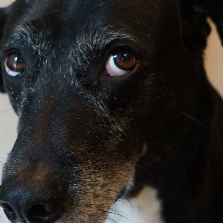 Cfc1cd34 d251 4916 9186 c4263d41d35f 1760576267156