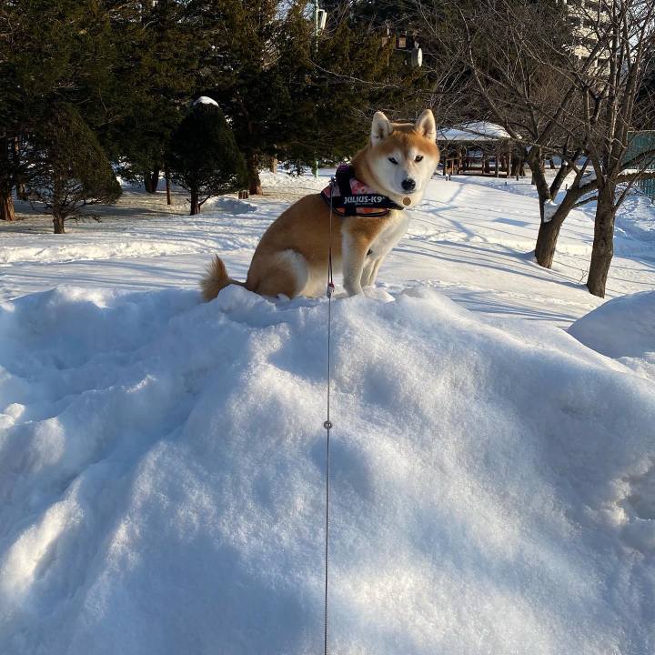 Cfc1ff06 9f3b 49cb bb9c 5d1233c42dad 1611626963574