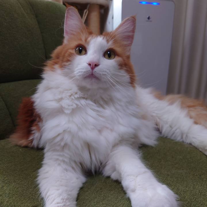 Cfc235b8 7af0 4b06 b608 308492aadd15 1602555119494