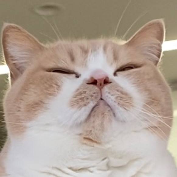 Cfc2371a 6f1c 4b35 866d 697c61641780 1670726193184