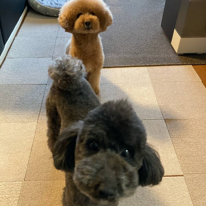 Cfc24766 a7c2 4148 b59e ca236fba6810 1643503511032