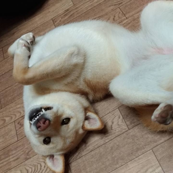 Cfc25d4b 1259 49a6 9019 69ab33bbd2a7 1528802557746