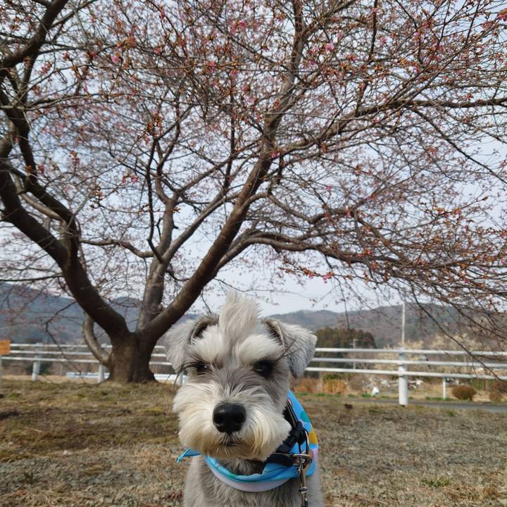 Cfc28926 e59b 4c74 9b4f fccd3d5b53dc 1774405181587