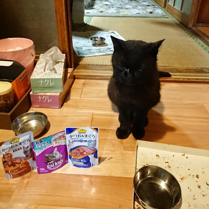 Cfc29143 cc77 4dfd a179 89833d60919d 1623842148047