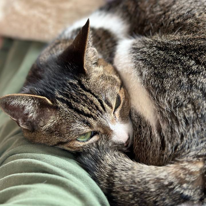 Cfc29d4e 9a65 47d0 a66e 3ed1ecdc435c 1679708778905