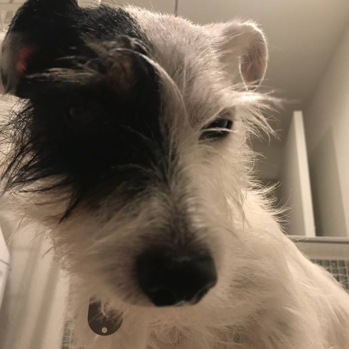 Cfc2c297 57a3 4569 9239 20c962c5407b 1509179616177