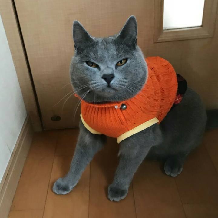 Cfc2f335 c8db 40d4 ab4e 359690897d5d 1511408508325