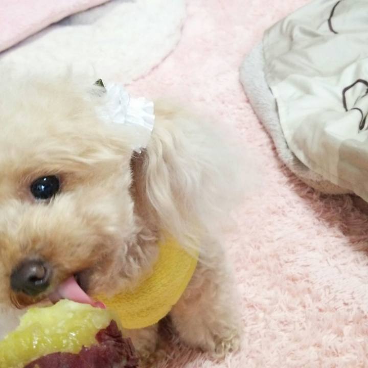 Cfc2fa62 5f2a 462a 9e41 b22f039c206e 1543653143743