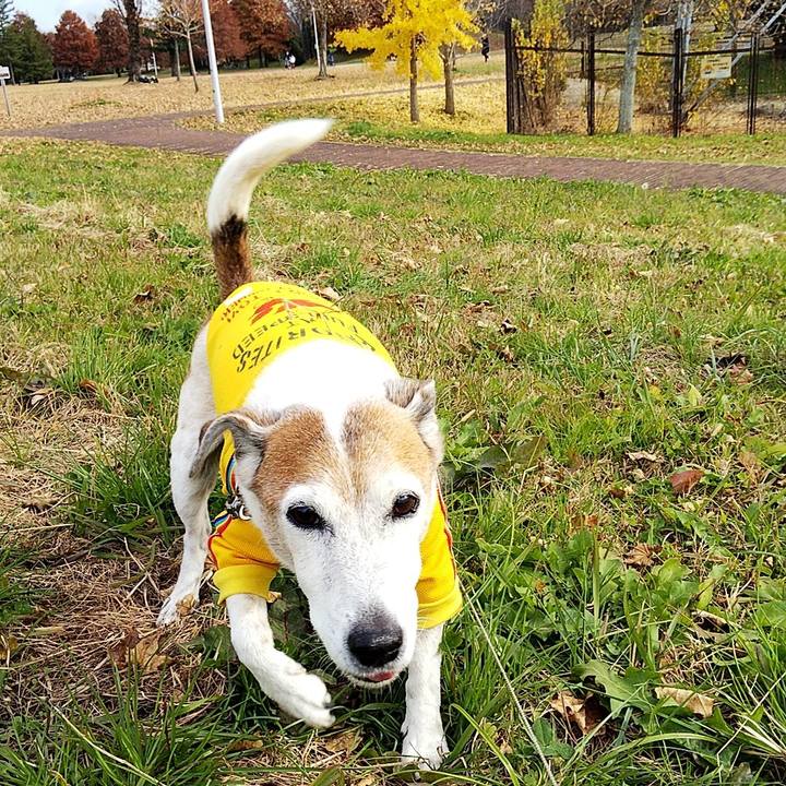 Cfc33e3d 4759 41a8 901b 96ee21c1faaf 1575785601079