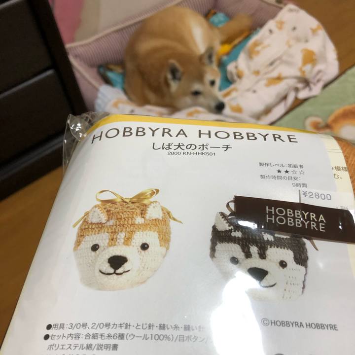 Cfc34935 626a 43e8 8098 b1145c4b178f 1603773782313