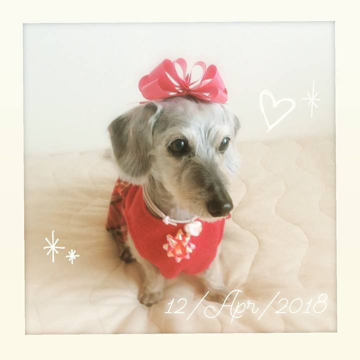 Cfc3c01f c615 4c30 976a cab41a97f16e 1523517463090