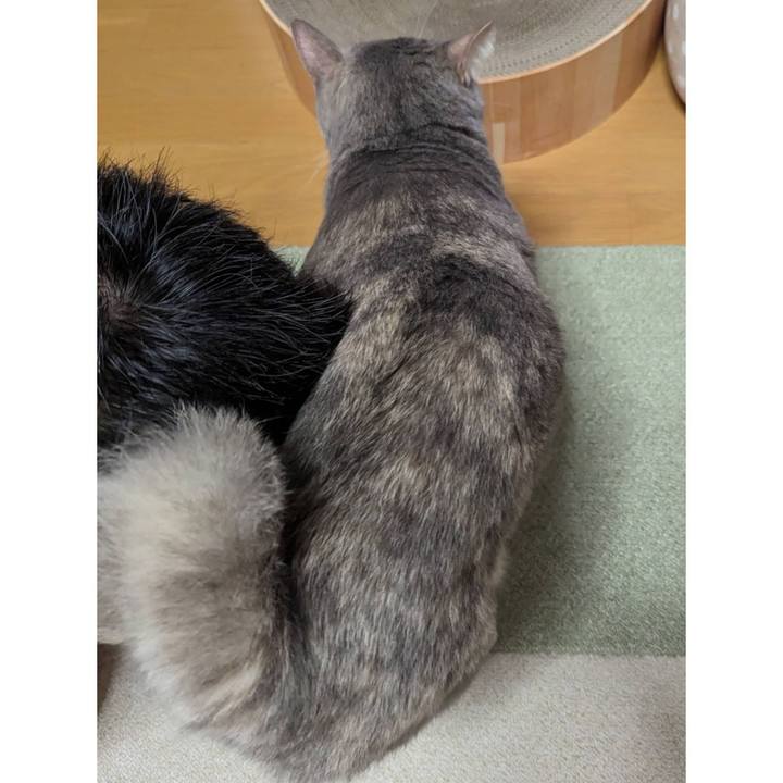 Cfc3de06 2de5 43cd a2a8 bf724e9c3eba 1697960200664