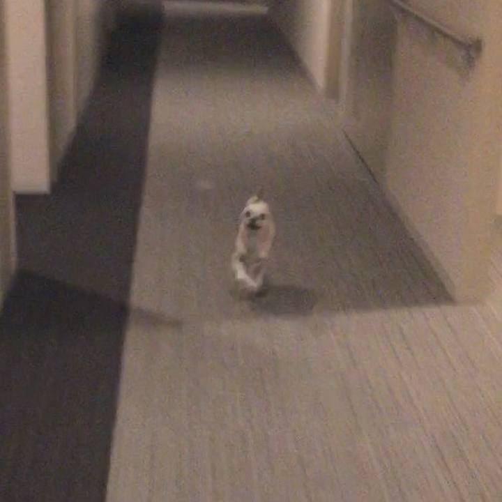 Cfc41bf2 7be7 4430 9515 8d60ba875be4 1549020089690