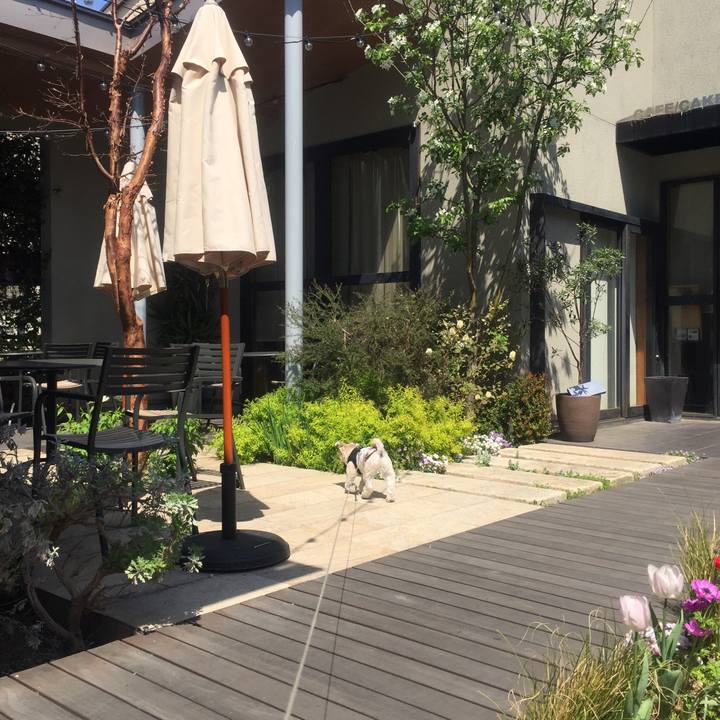 Cfc4d9fe 2f9f 4916 976a 26b4e9d5a3d3 1523270678886