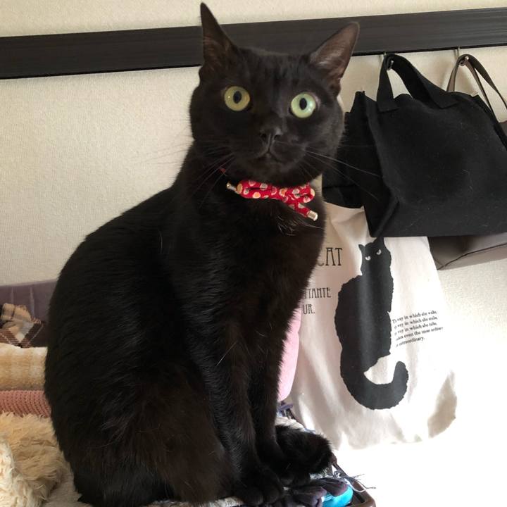 Cfc50a9d 3fe5 4767 a08e b43f35bf43f5 1618271577925