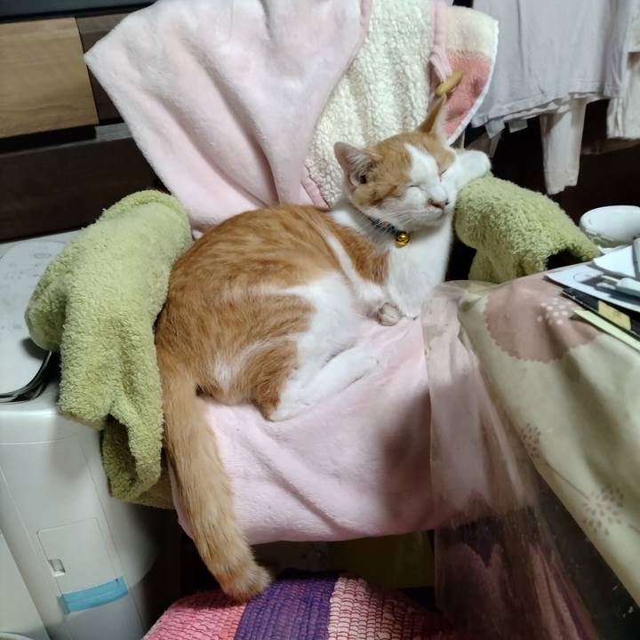 Cfc51da5 2aea 4d0c 8ee7 0085710ca1e1 1733549888860