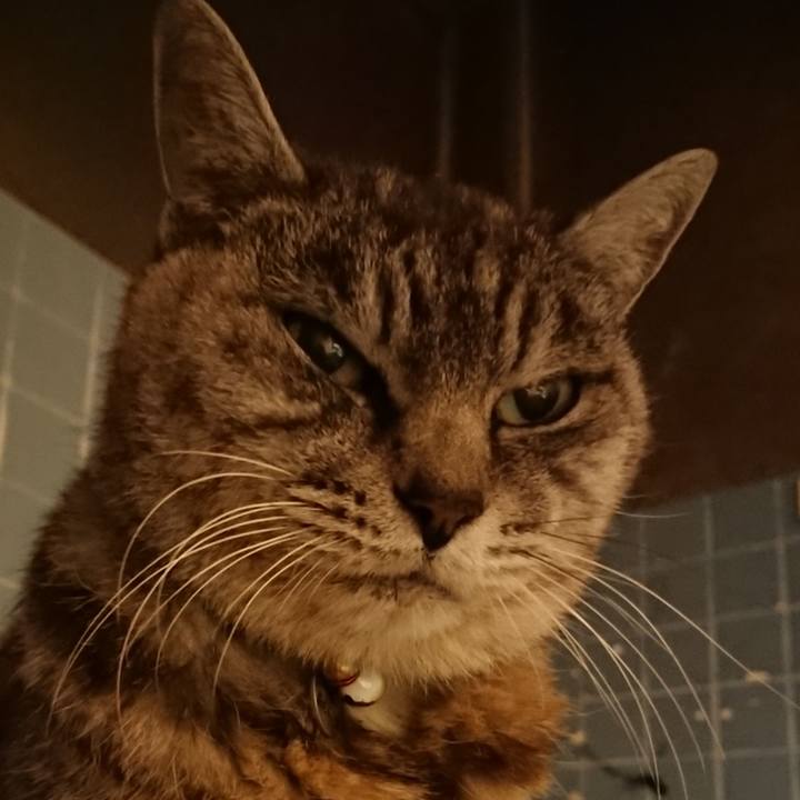 Cfc52cb1 bd27 4b01 b2ab e4e7c26a27cb 1573810276914