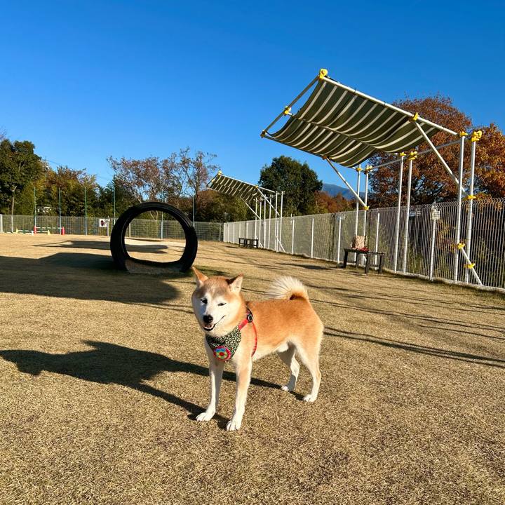 Cfc52eae 7fc0 4fa2 afcd a67075ee2b00 1733311361391