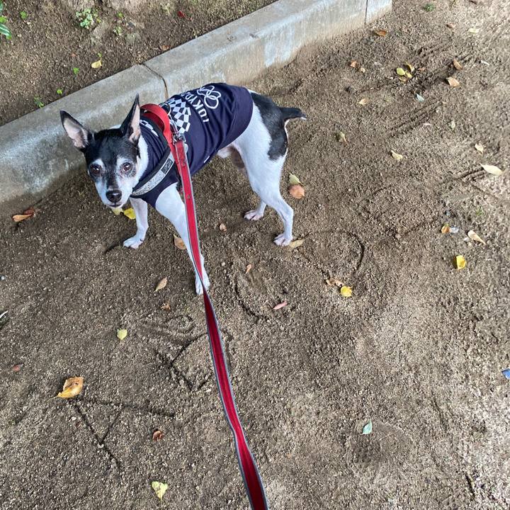 Cfc57aa5 dd62 4009 8f51 2bfd17b91e89 1603317660915