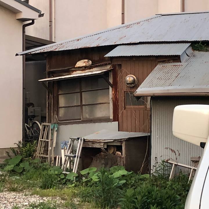 Cfc57dbd 841d 45bc 9999 b7fc6abe7d0b 1524398650320