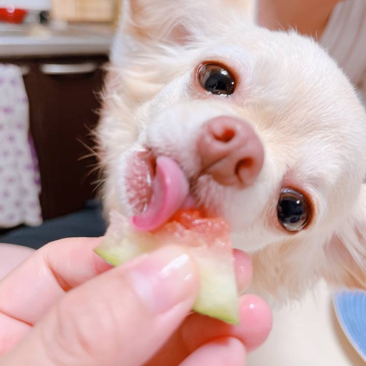 Cfc5ac8a d932 4581 9fc6 b853b2ce226d 1657541799763