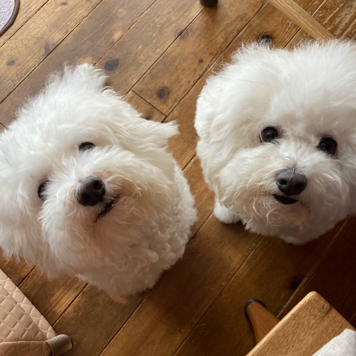 Cfc5f777 48d3 4d38 879b 88414040b180 1631764394450