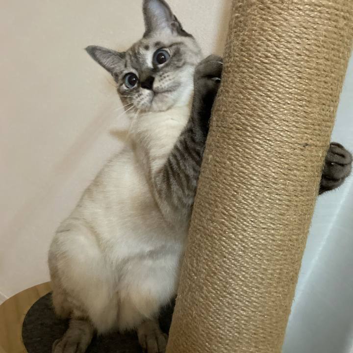 Cfc65eae 187d 491b a857 a76f919ec31c 1602929138426