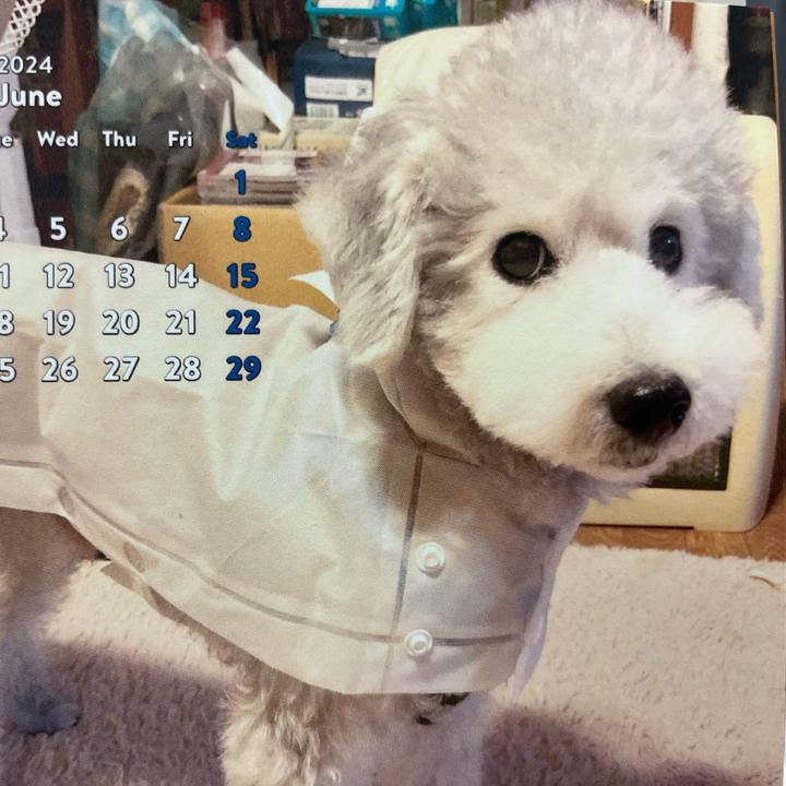 Cfc67333 8228 4ea7 a43f 81bffe22359f 1718671414253