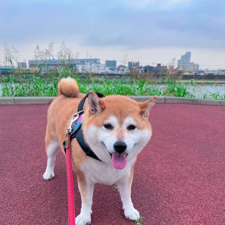 Cfc6b092 c37d 4277 9b30 bb981b5afcd0 1687514688810