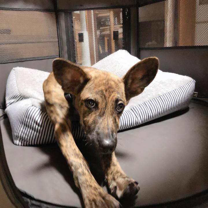 Cfc6d6ff 58cb 4ca4 b87a cbb78accb61c 1571385694235