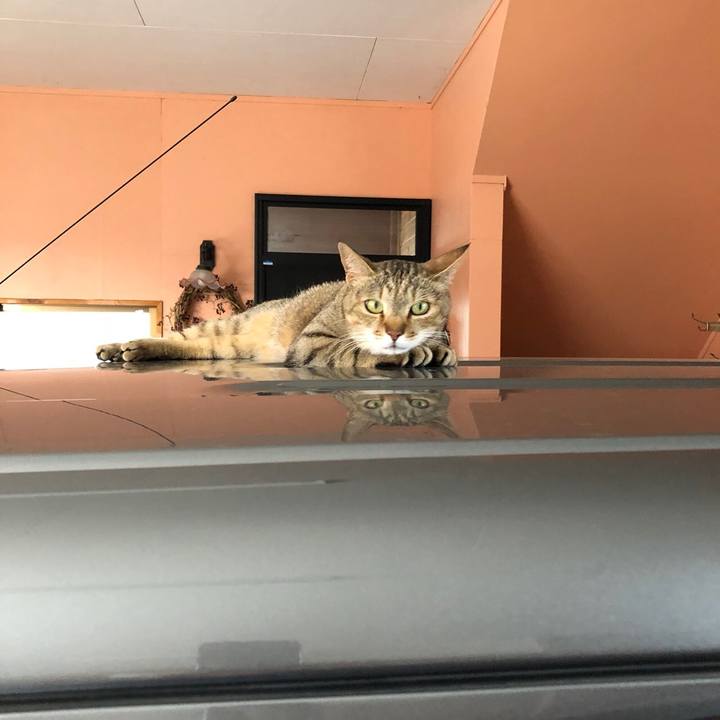 Cfc73384 eef0 488d 93aa eda9bc244fe3 1530409383523