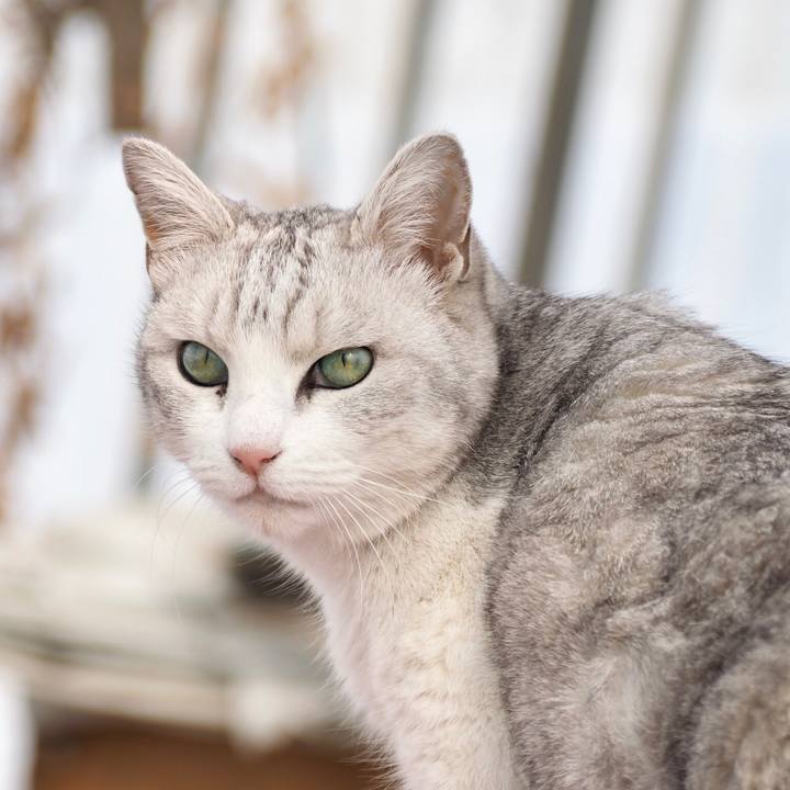 Cfc75931 5bcd 42de b6f3 fae0559eaa45 1769950726986