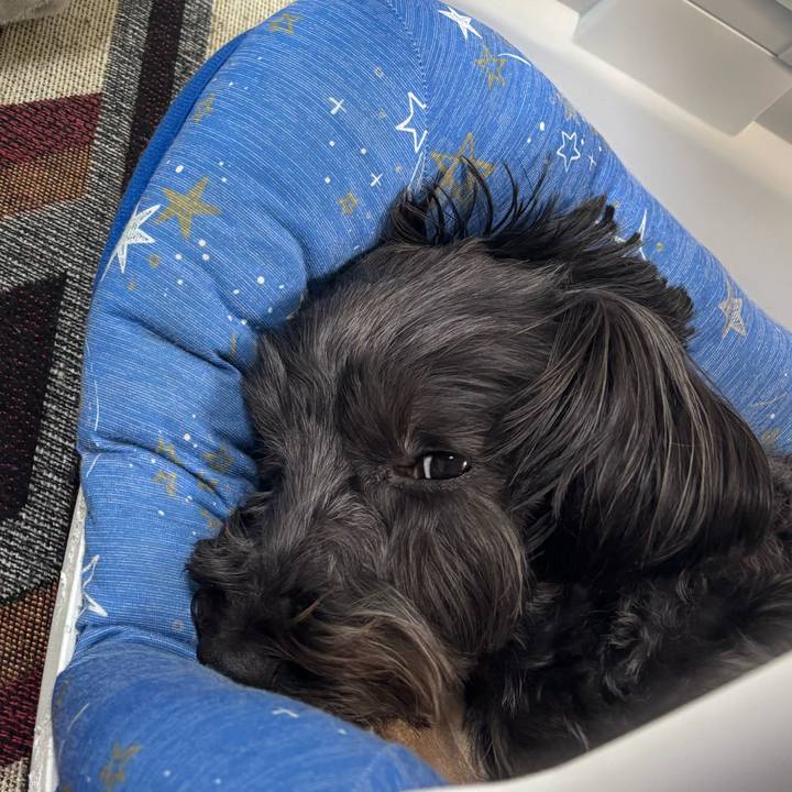 Cfc78644 dc92 4eb5 a792 4dda3ac141b5 1769519510566