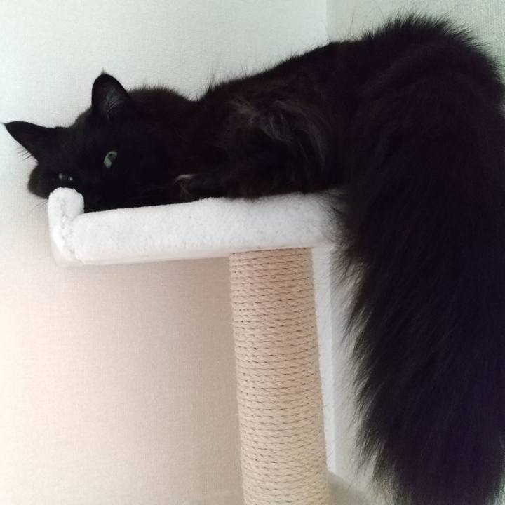 Cfc796ea 32ec 4b8f bac1 493b01f6fff8 1622618878906