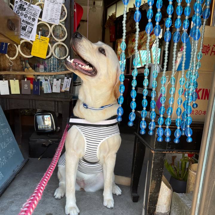 Cfc7c20f 83fe 48a4 819f 2c19890d63a2 1628171708760