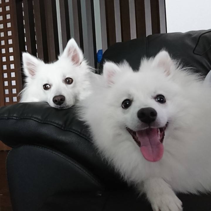 Cfc7d279 b409 4290 8c74 1579ede1078f 1559363061782