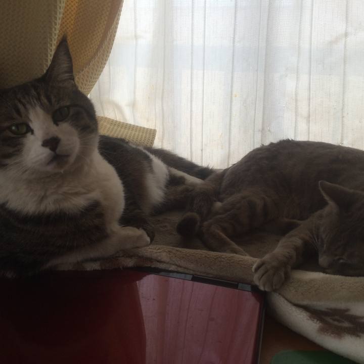 Cfc7ec92 8be4 44cb abb8 039e799435ab 1523200479051